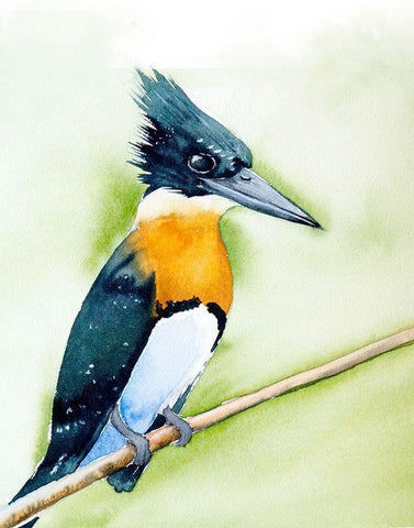 Black Beak II Black Ornate Wood Framed Art Print with Double Matting by Shefranov, Olga