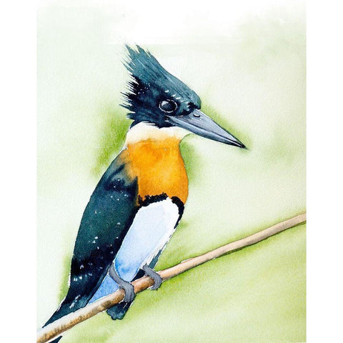 Black Beak II Black Modern Wood Framed Art Print by Shefranov, Olga