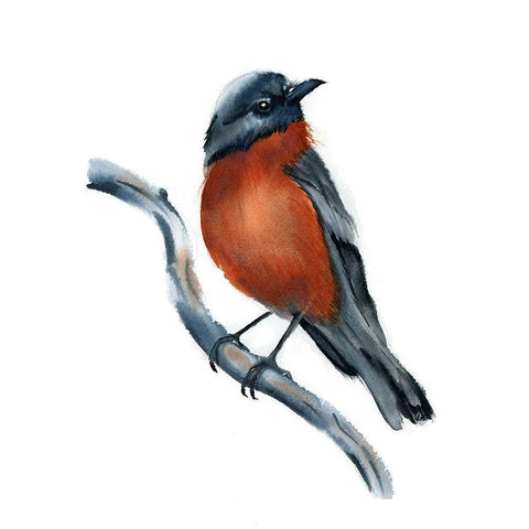 Robin White Modern Wood Framed Art Print by Shefranov, Olga