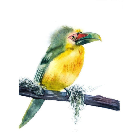 Tropical Bird Gold Ornate Wood Framed Art Print with Double Matting by Shefranov, Olga