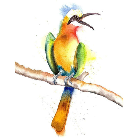 Tropical Bird II Black Modern Wood Framed Art Print by Shefranov, Olga