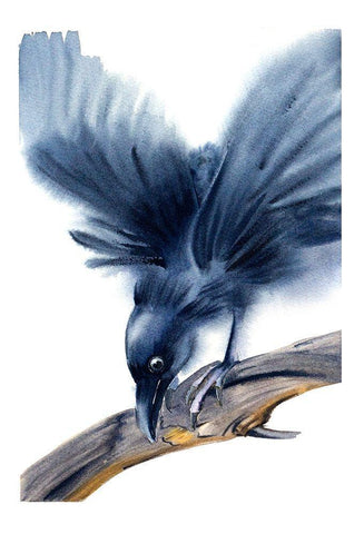 Crow White Modern Wood Framed Art Print with Double Matting by Shefranov, Olga