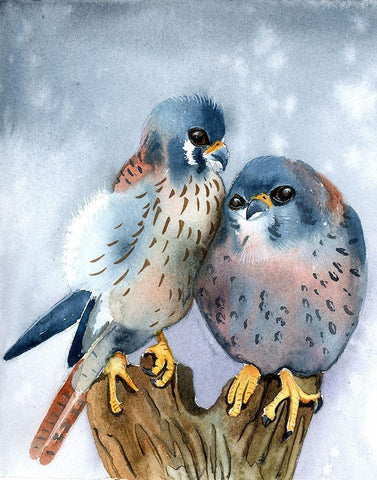 Speckle Chests II Black Ornate Wood Framed Art Print with Double Matting by Shefranov, Olga