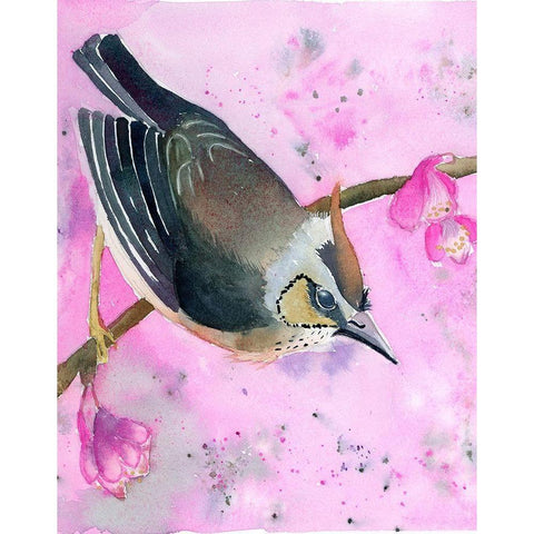 Pink Floral Black Modern Wood Framed Art Print with Double Matting by Shefranov, Olga