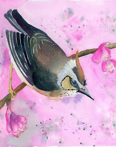 Pink Floral Black Ornate Wood Framed Art Print with Double Matting by Shefranov, Olga