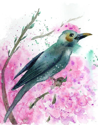 Pink Floral II Black Ornate Wood Framed Art Print with Double Matting by Shefranov, Olga