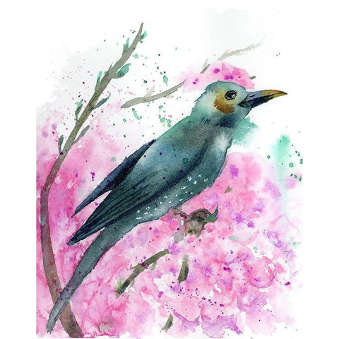 Pink Floral II Black Modern Wood Framed Art Print by Shefranov, Olga