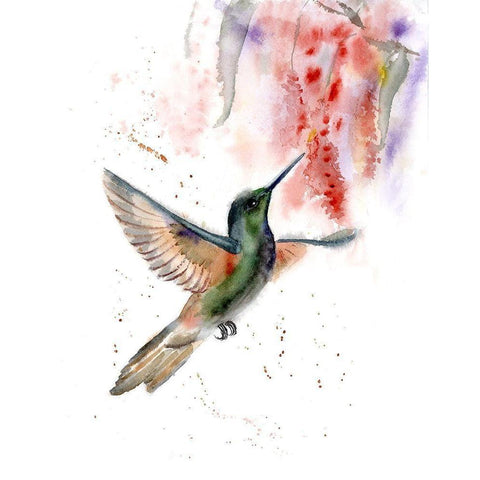 Hummingbird II White Modern Wood Framed Art Print by Shefranov, Olga