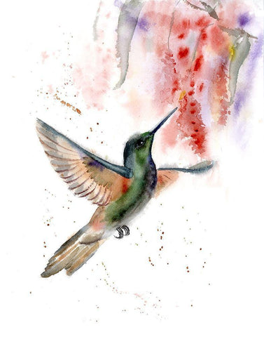 Hummingbird II White Modern Wood Framed Art Print with Double Matting by Shefranov, Olga