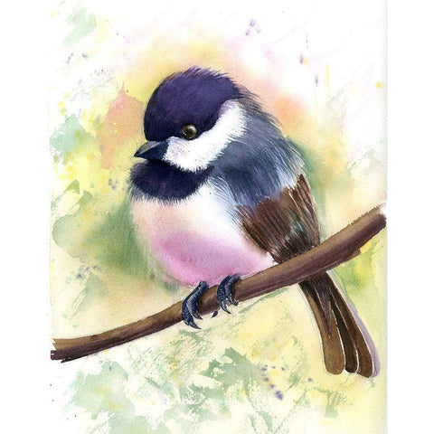 Chickadee II White Modern Wood Framed Art Print by Shefranov, Olga