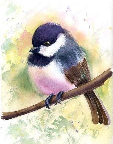 Chickadee II White Modern Wood Framed Art Print with Double Matting by Shefranov, Olga