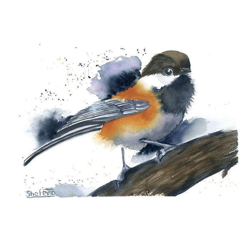 Chickadee II Black Modern Wood Framed Art Print with Double Matting by Shefranov, Olga