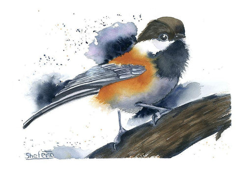 Chickadee II Black Ornate Wood Framed Art Print with Double Matting by Shefranov, Olga