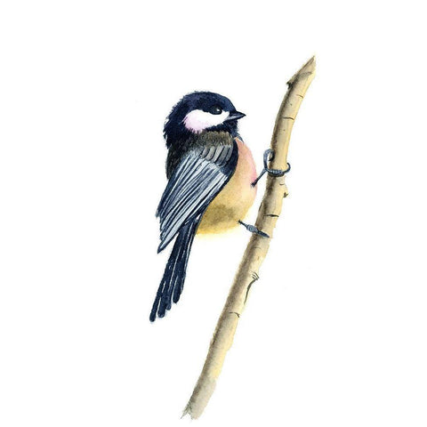 Clinger White Modern Wood Framed Art Print by Shefranov, Olga