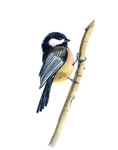 Clinger Black Ornate Wood Framed Art Print with Double Matting by Shefranov, Olga