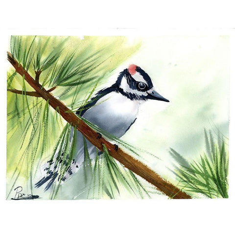 Woodpecker II Black Modern Wood Framed Art Print with Double Matting by Shefranov, Olga