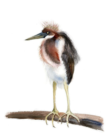 Shrug Black Ornate Wood Framed Art Print with Double Matting by Shefranov, Olga