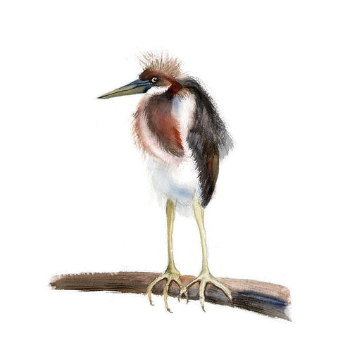 Shrug Black Modern Wood Framed Art Print by Shefranov, Olga