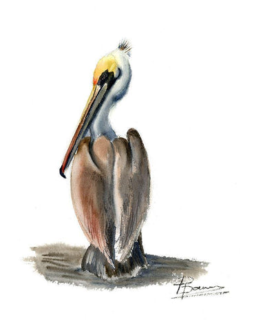 Beach Bird Black Ornate Wood Framed Art Print with Double Matting by Shefranov, Olga