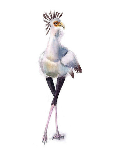 Beach Bird II White Modern Wood Framed Art Print with Double Matting by Shefranov, Olga