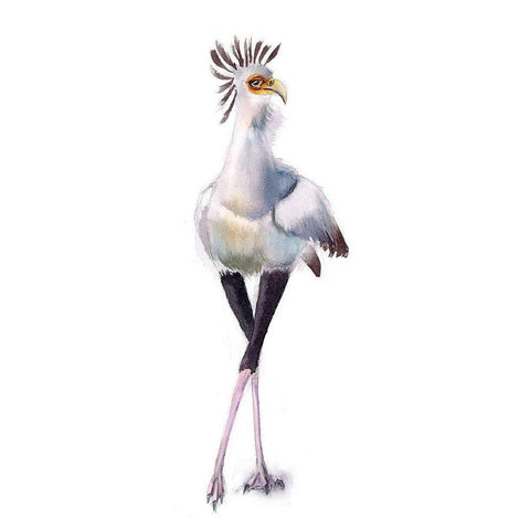 Beach Bird II White Modern Wood Framed Art Print by Shefranov, Olga