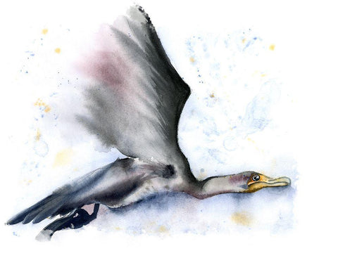 In Flight White Modern Wood Framed Art Print with Double Matting by Shefranov, Olga