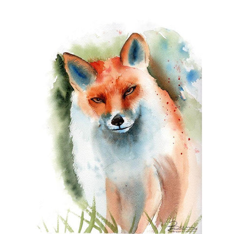 Fox II White Modern Wood Framed Art Print by Shefranov, Olga