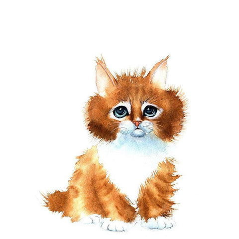 Orange Cat Black Modern Wood Framed Art Print by Shefranov, Olga