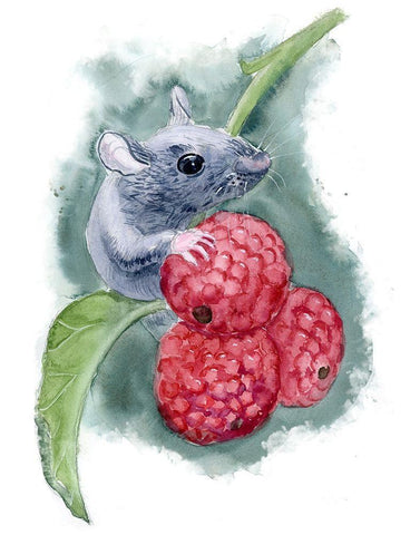 Mouse White Modern Wood Framed Art Print with Double Matting by Shefranov, Olga