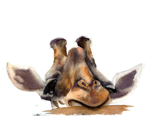 Giraffe White Modern Wood Framed Art Print with Double Matting by Shefranov, Olga