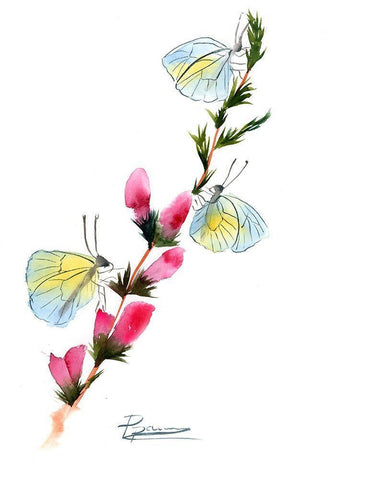 Butterflies White Modern Wood Framed Art Print with Double Matting by Shefranov, Olga