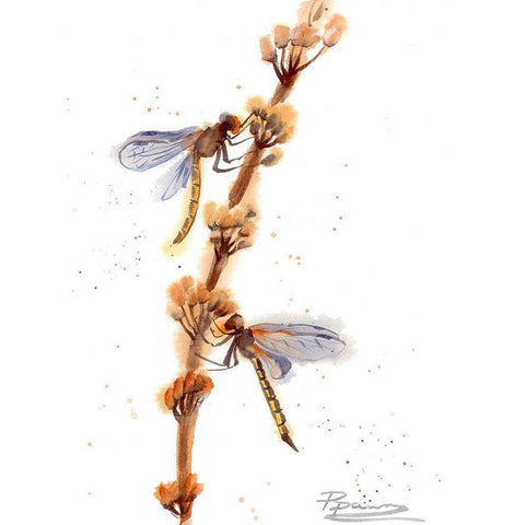 Dragonflies White Modern Wood Framed Art Print by Shefranov, Olga