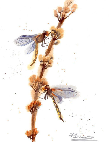 Dragonflies White Modern Wood Framed Art Print with Double Matting by Shefranov, Olga