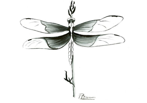 Dragonfly White Modern Wood Framed Art Print with Double Matting by Shefranov, Olga