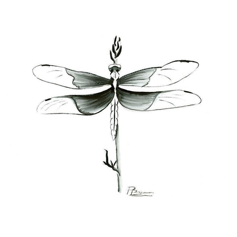 Dragonfly Black Modern Wood Framed Art Print by Shefranov, Olga