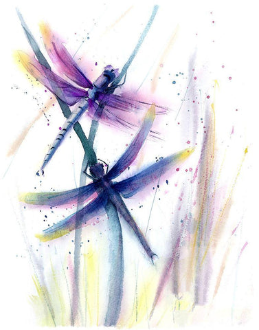 Dragonflies II Black Ornate Wood Framed Art Print with Double Matting by Shefranov, Olga