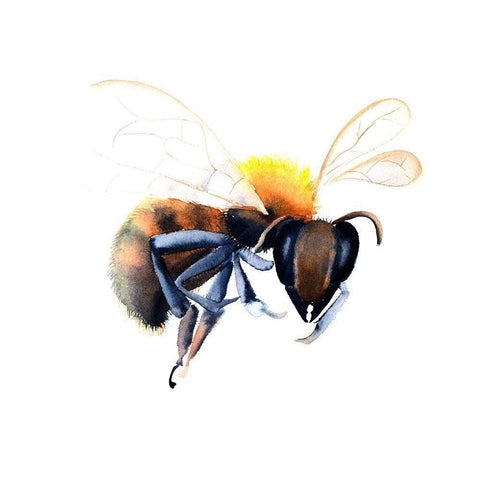 Bee Black Modern Wood Framed Art Print by Shefranov, Olga