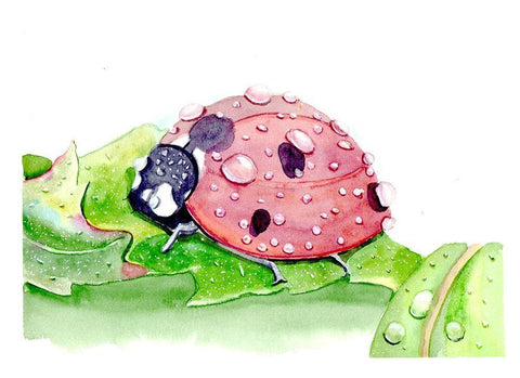 Ladybug White Modern Wood Framed Art Print with Double Matting by Shefranov, Olga