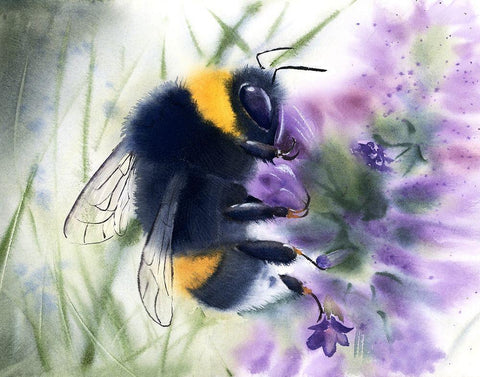 Bee IV White Modern Wood Framed Art Print with Double Matting by Shefranov, Olga