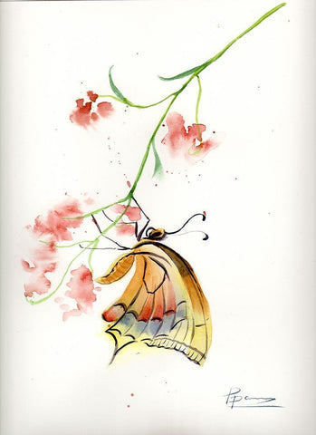Butterfly II White Modern Wood Framed Art Print with Double Matting by Shefranov, Olga