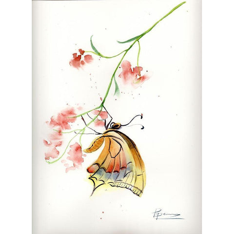 Butterfly II Black Modern Wood Framed Art Print with Double Matting by Shefranov, Olga