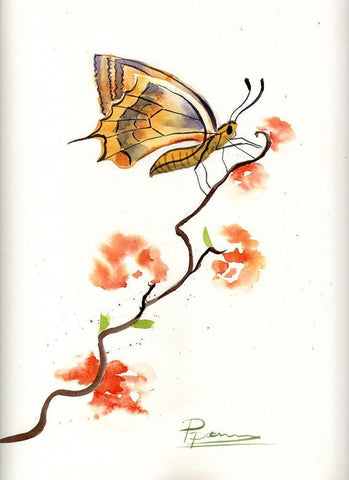 Butterfly III White Modern Wood Framed Art Print with Double Matting by Shefranov, Olga