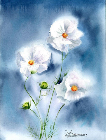 White Flowers White Modern Wood Framed Art Print with Double Matting by Shefranov, Olga