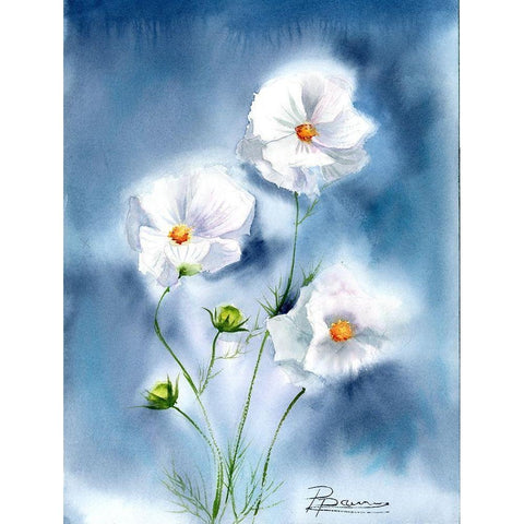 White Flowers Black Modern Wood Framed Art Print by Shefranov, Olga