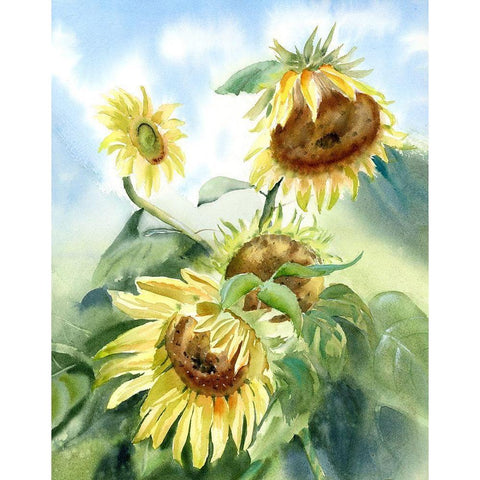 Sunflowers Black Modern Wood Framed Art Print with Double Matting by Shefranov, Olga