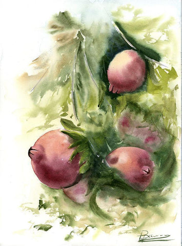 Pomegranate White Modern Wood Framed Art Print with Double Matting by Shefranov, Olga