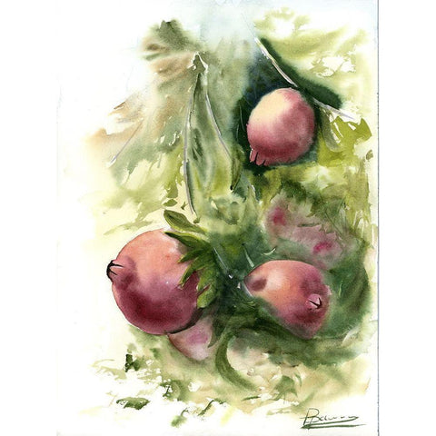 Pomegranate Black Modern Wood Framed Art Print by Shefranov, Olga