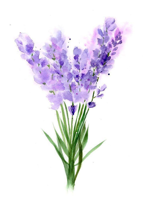 Image Only