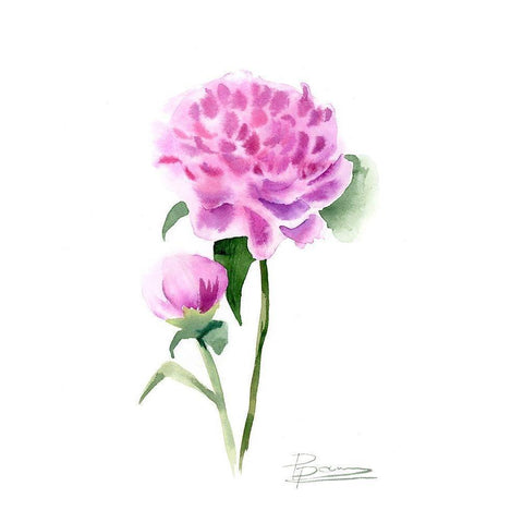 Pink Flowers IV Black Modern Wood Framed Art Print with Double Matting by Shefranov, Olga