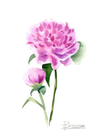Pink Flowers IV Black Ornate Wood Framed Art Print with Double Matting by Shefranov, Olga
